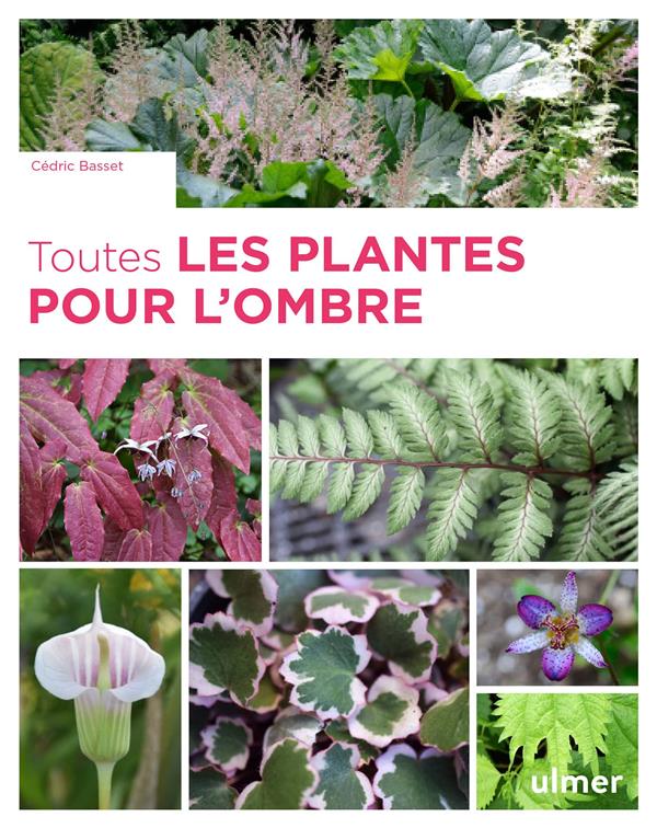 TOUTES LES PLANTES POUR L'OMBRE