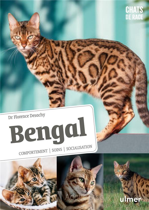 BENGAL - COMPORTEMENT, SOINS, SOCIABILISATION