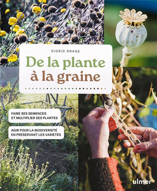 DE LA PLANTE A LA GRAINE
