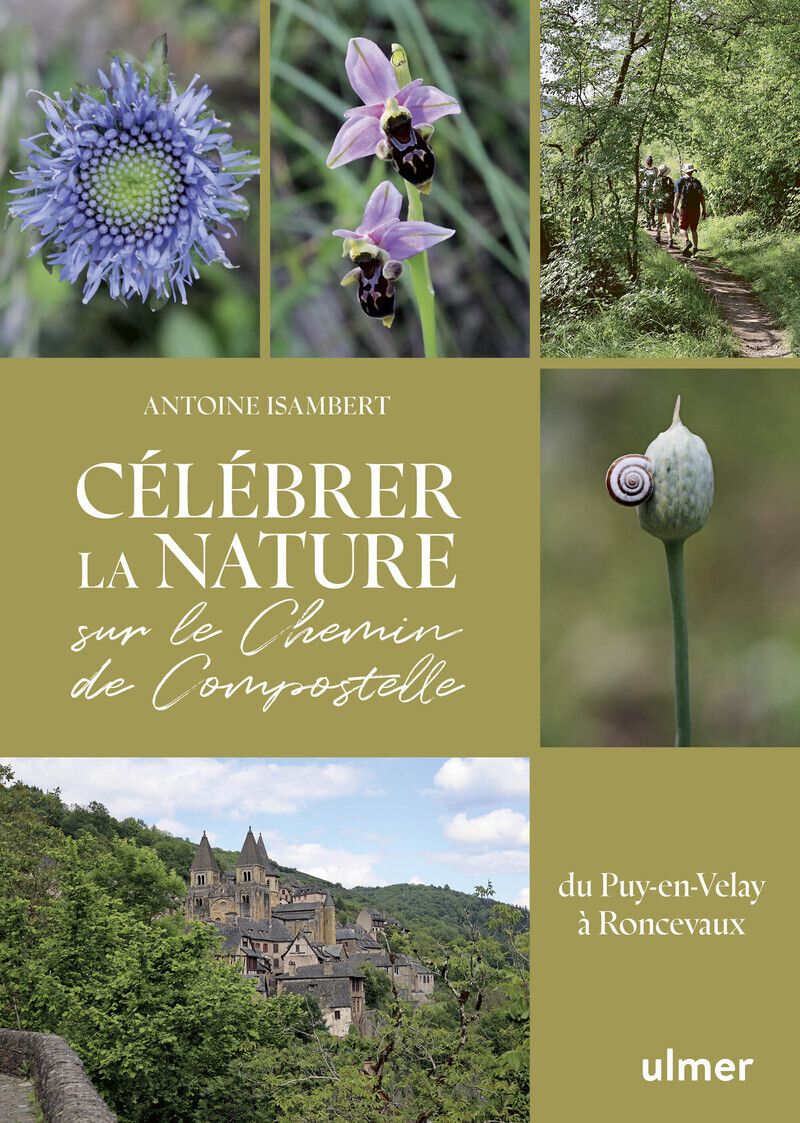 CELEBRER LA NATURE SUR LE CHEMIN DE COMPOSTELLE - DU PUY-EN-VELAY A RONCEVAUX