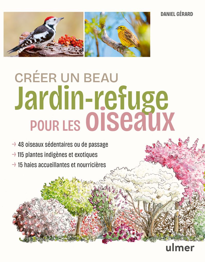 CREER UN BEAU JARDIN-REFUGE POUR LES OISEAUX