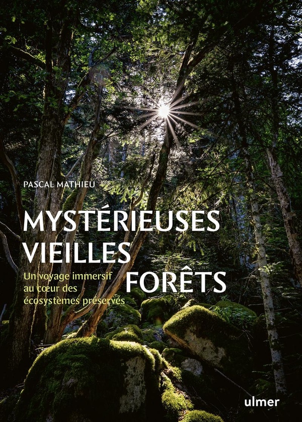 MYSTERIEUSES VIEILLES FORETS - UN VOYAGE IMMERSIF AU COEUR DES ECOSYSTEMES PRESERVES