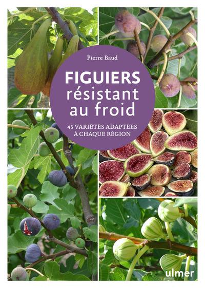 FIGUIERS RESISTANT AU FROID - 44 VARIETES ADAPTEES A CHAQUE REGION