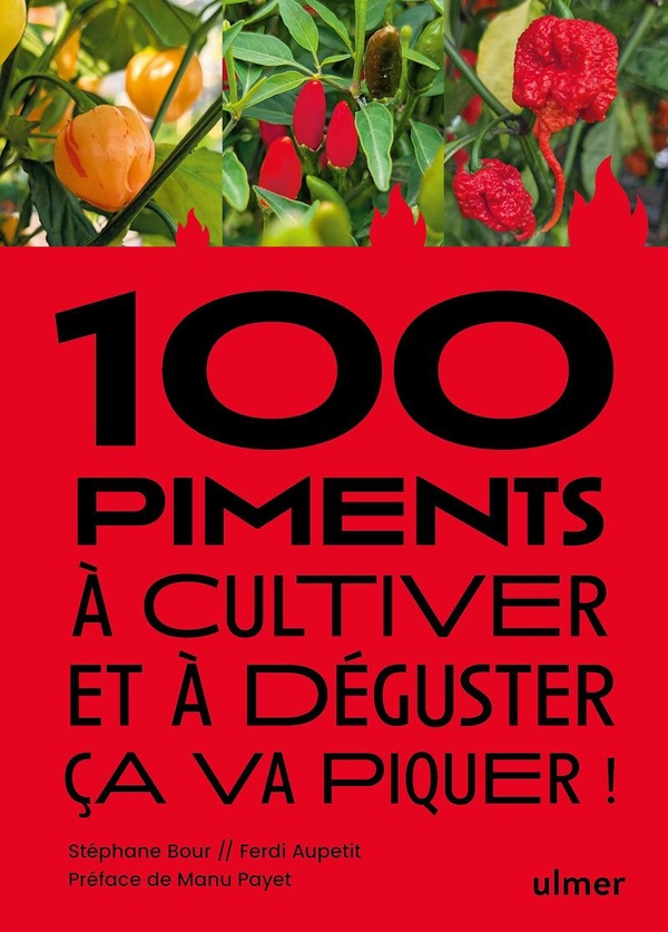 100 PIMENTS A CULTIVER ET A DEGUSTER : CA VA PIQUER !
