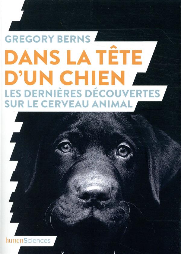 DANS LA TETE D'UN CHIEN - LES DERNIERES DECOUVERTES SUR LE CERVEAU ANIMAL