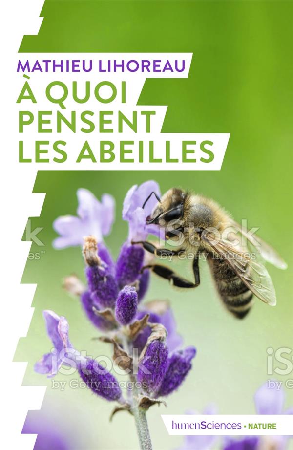 A QUOI PENSENT LES ABEILLES ?