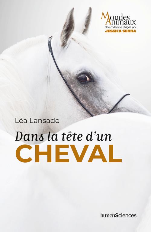 DANS LA TETE D'UN CHEVAL