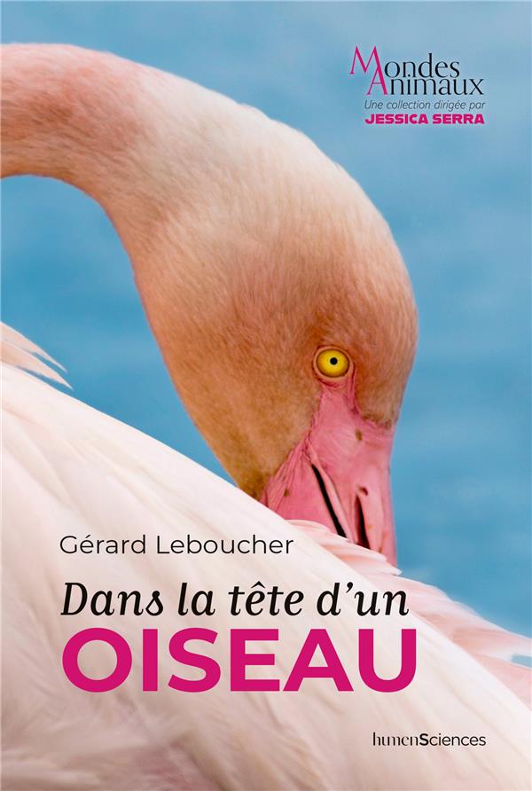 DANS LA TETE D'UN OISEAU