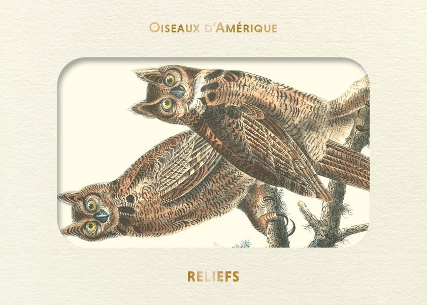 LIVRE D'IMAGES - OISEAUX D'AMERIQUE
