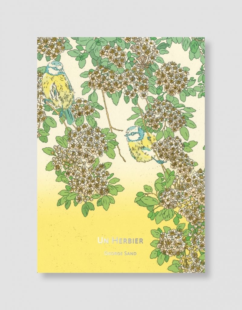 BIBLIOTHEQUE ILLUSTREE - UN HERBIER