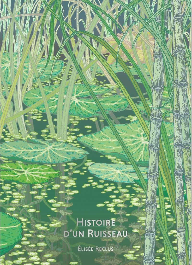 BIBLIOTHEQUE ILLUSTREE HISTOIRE D'UN RUISSEAU