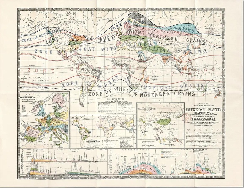 CARTE - CARTE DES PLANTES ALIMENTAIRES