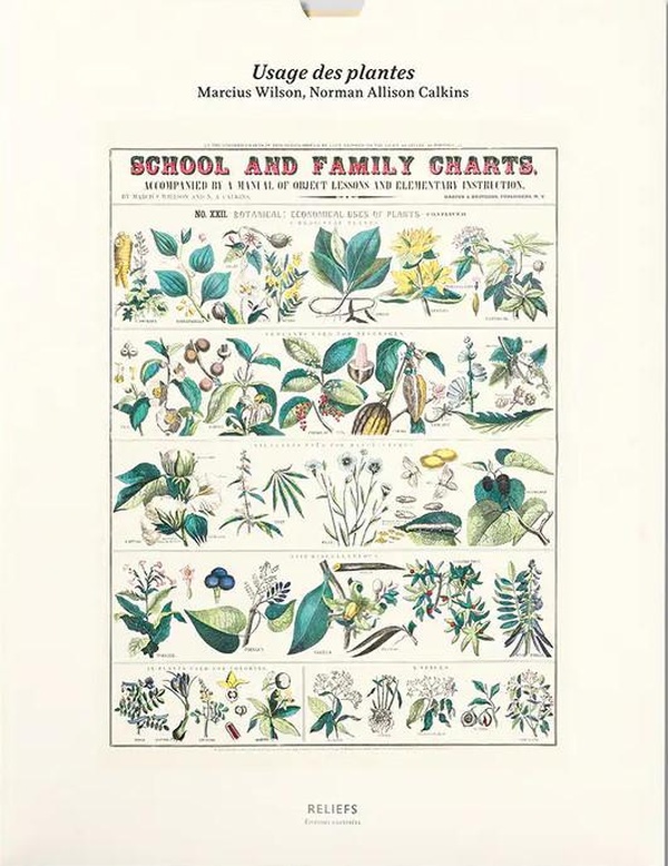 TIRAGE - USAGE DES PLANTES