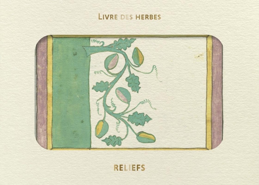 LIVRE D'IMAGES - LIVRE DES HERBES