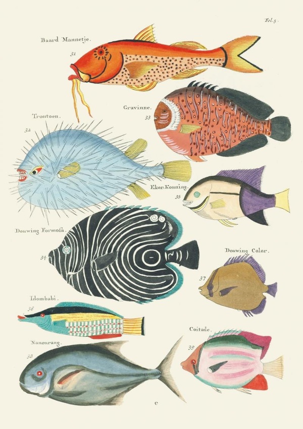 CARNET - POISSONS, ECREVISSES ET CRABES