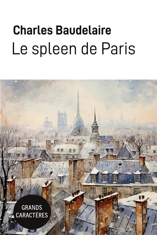 SPLEEN DE PARIS