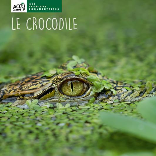 LE CROCODILE