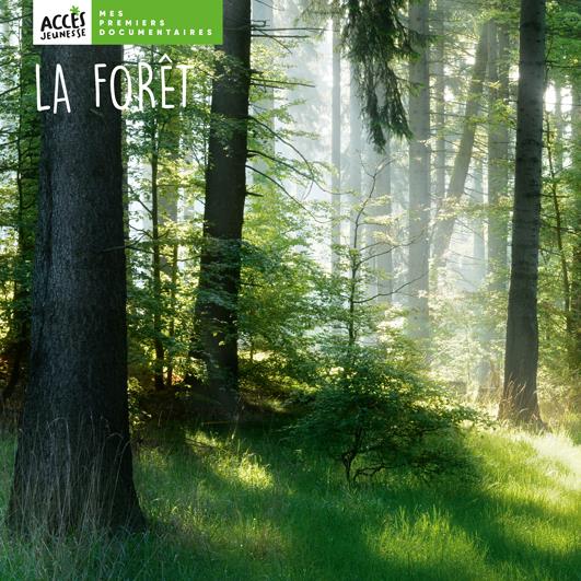 LA FORET