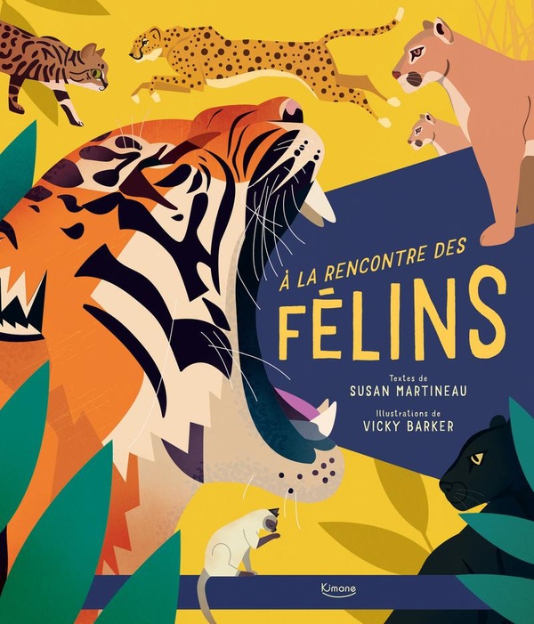 A LA RENCONTRE DES FELINS