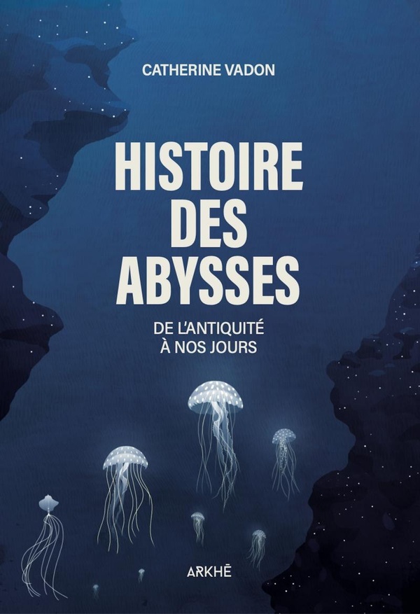 HISTOIRE DES ABYSSES - DE L'ANTIQUITE A NOS JOURS