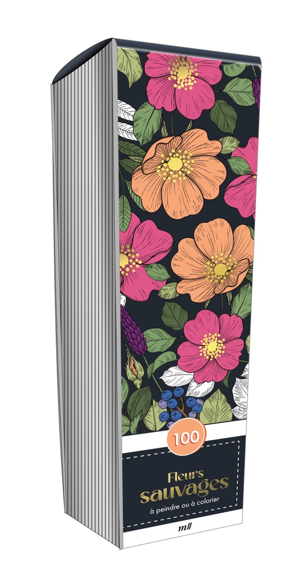 MARQUE-PAGES - FLEURS SAUVAGES - EDITION PREMIUM - 100 MARQUE-PAGES A PEINDRE OU A COLORIER
