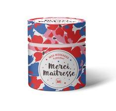 MES MESSAGES A PIOCHER MERCI, MAITRESSE NE