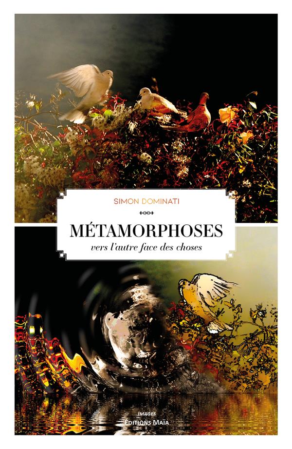 METAMORPHOSES VERS L'AUTRE FACE DES CHOSES