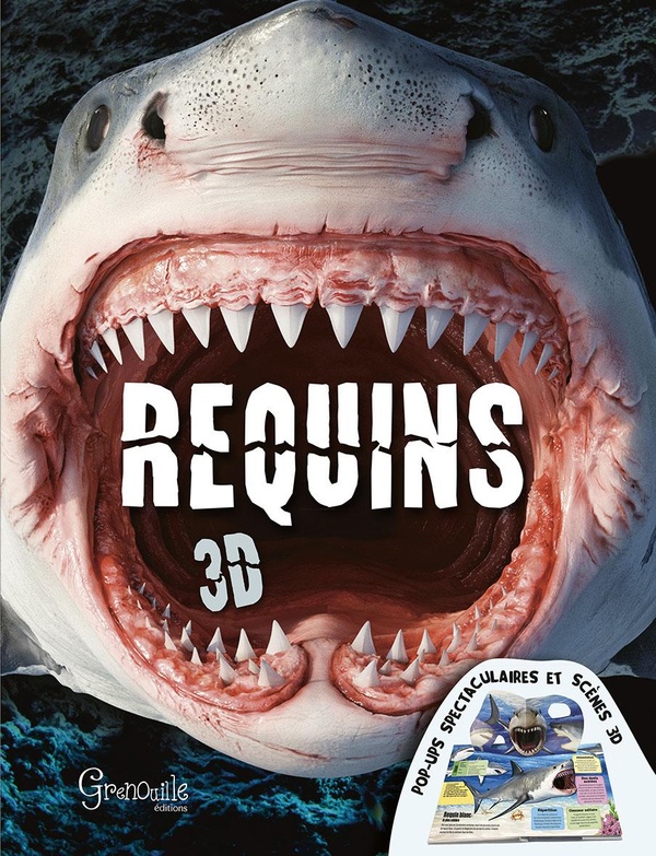 REQUINS 3D
