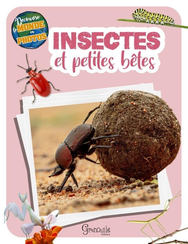 INSECTES ET PETITES BETES