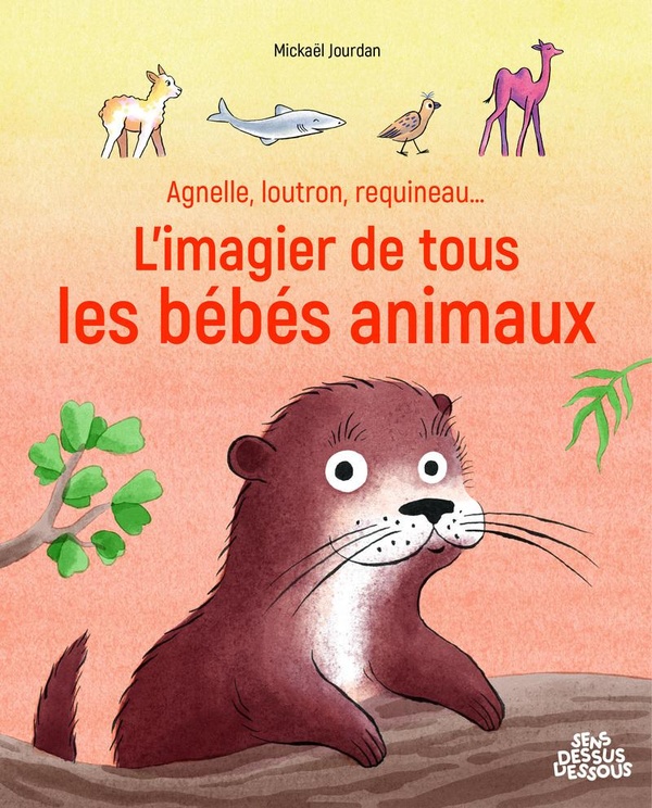 AGNELLE, LOUTRON, REQUINEAU... L'IMAGIER DE TOUS LES BEBES ANIMAUX