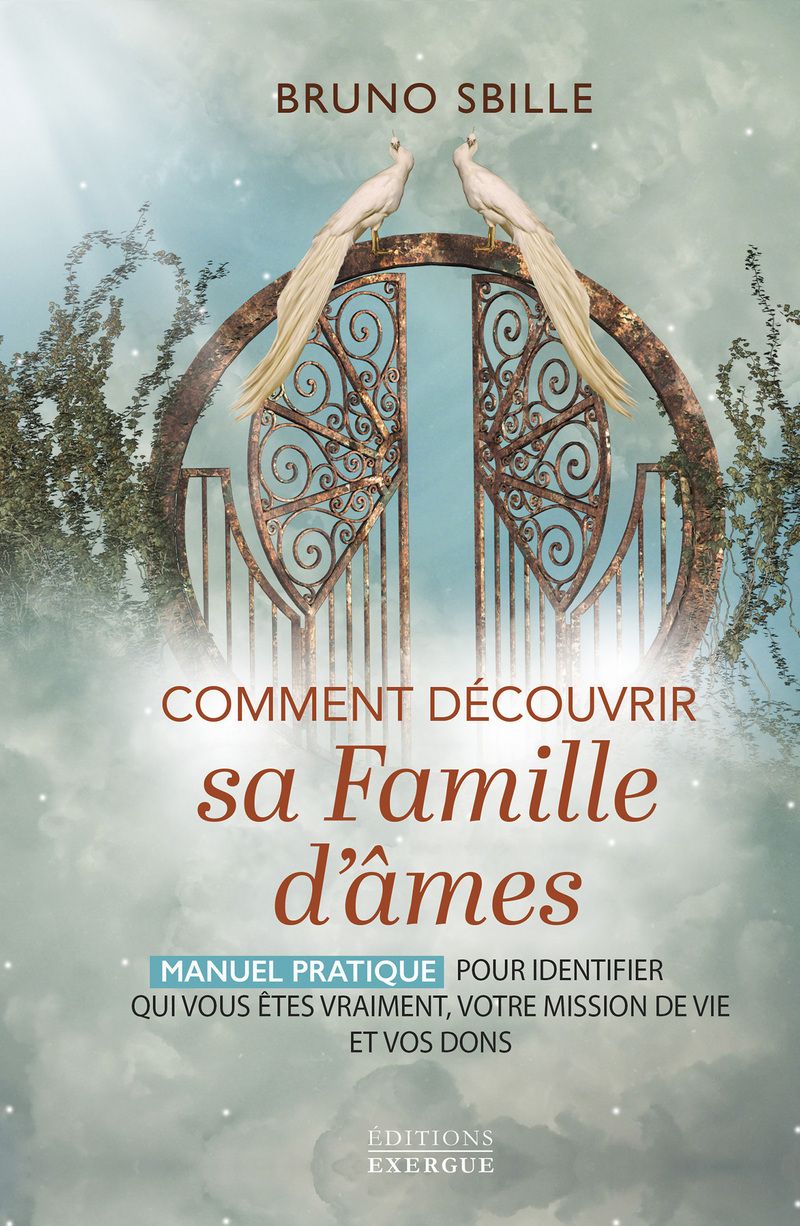 COMMENT DECOUVRIR SA FAMILLE D'AMES - MANUEL PRATIQUE POUR IDENTIFIER QUI VOUS ETES VRAIMENT, VOTRE