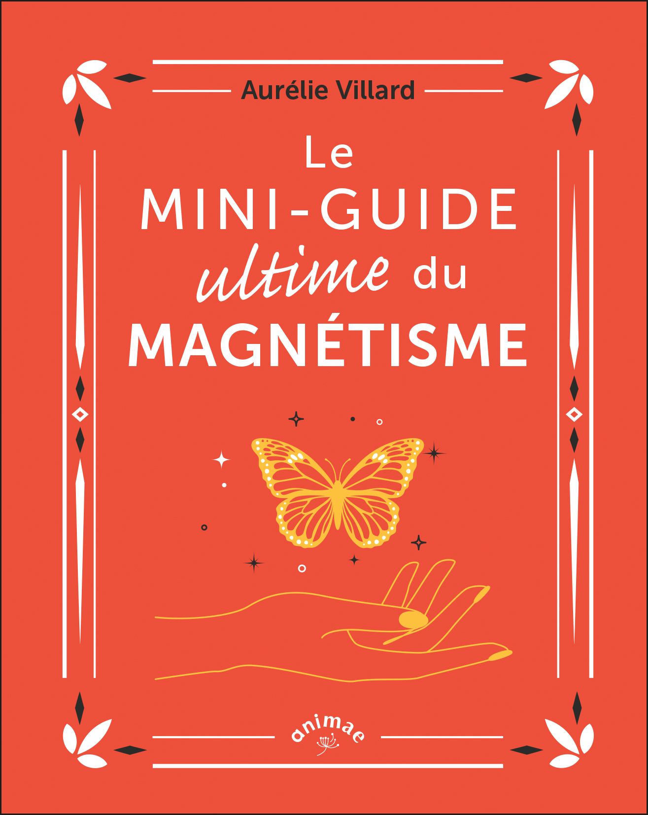 LE MINI-GUIDE ULTIME DU MAGNETISME