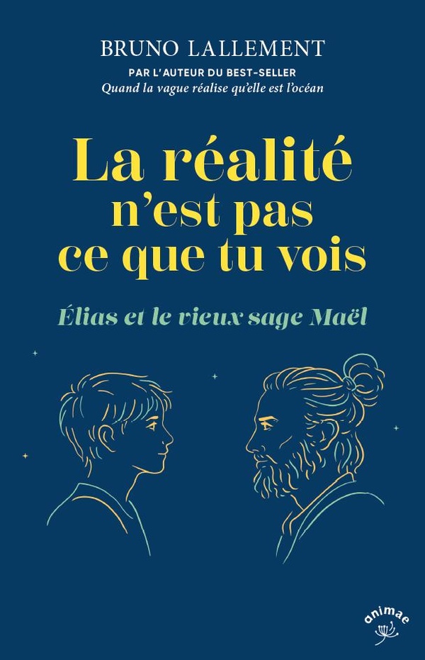 LA REALITE N'EST PAS CE QUE TU VOIS - ELIAS ET LE VIEUX SAGE MAEL