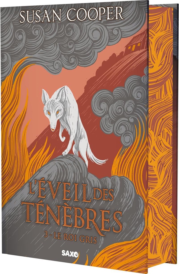 L'EVEIL DES TENEBRES - TOME 03 LE ROI GRIS (RELIE) - VOL03