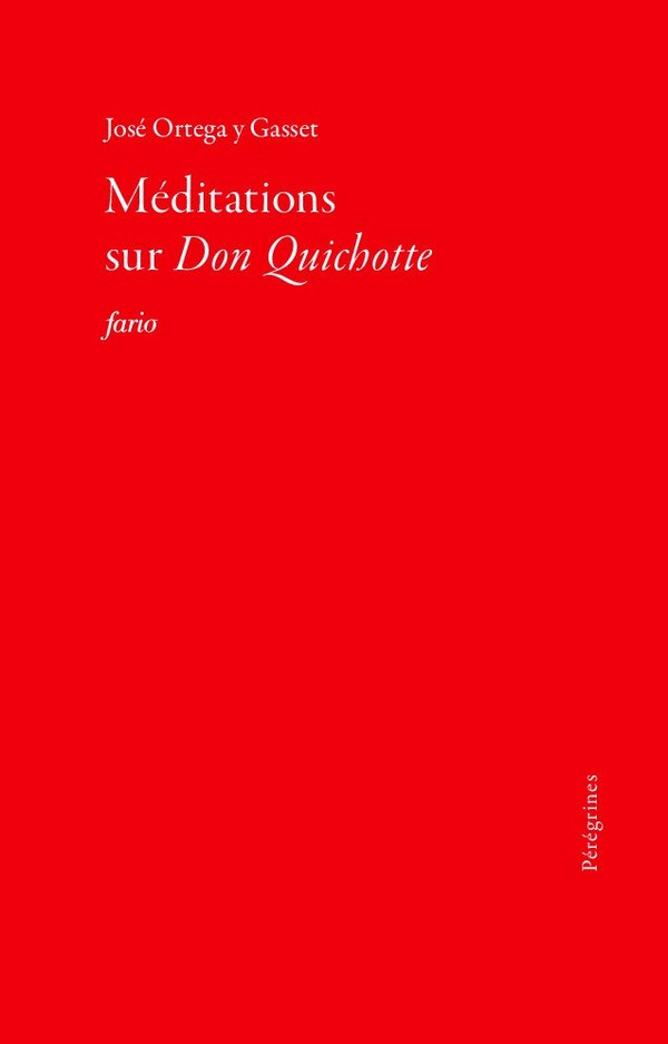 MEDITATIONS SUR LE QUICHOTTE
