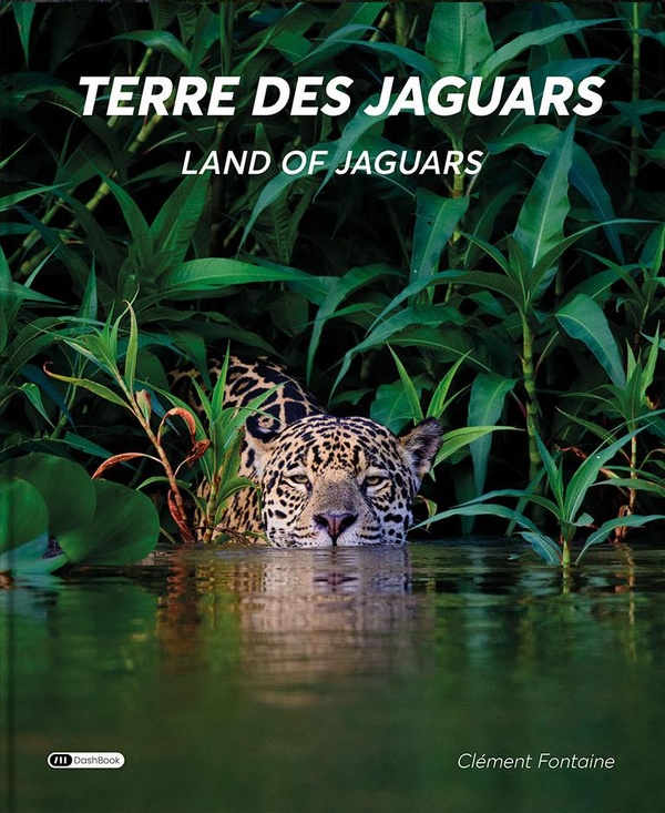 TERRE DES JAGUARS