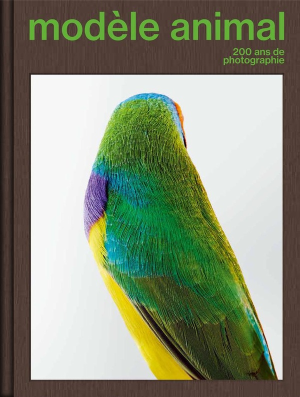 MODELE ANIMAL, 200 ANS DE PHOTOGRAPHIE - ILLUSTRATIONS, COULEUR