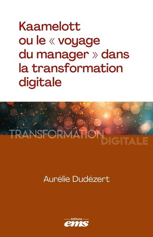 KAAMELOTT OU LE VOYAGE DU MANAGER DANS LA TRANSFORMATION DIGITALE