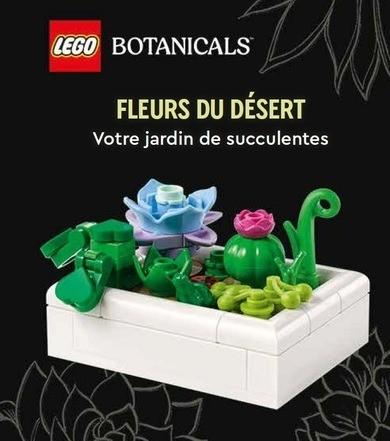 LEGO BOTANICALS, FLEURS DU DESERT - VOTRE JARDIN DE SUCCULENTES