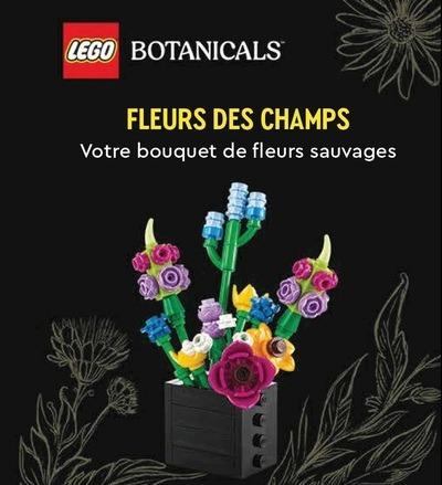 LEGO BOTANICALS, FLEURS DES CHAMPS - VOTRE BOUQUET DE FLEURS SAUVAGES