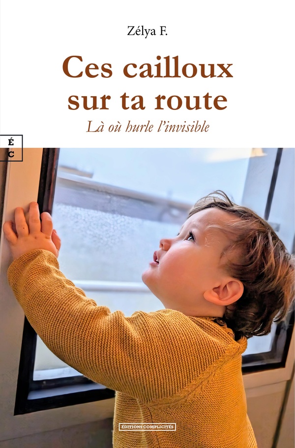 CES CAILLOUX SUR TA ROUTE : LA OU HURLE L'INVISIBLE