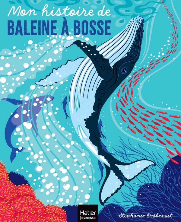 MON HISTOIRE DE BALEINE A BOSSE