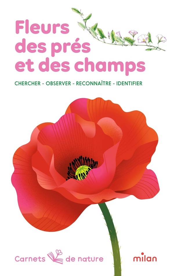 FLEURS DES PRES ET DES CHAMPS