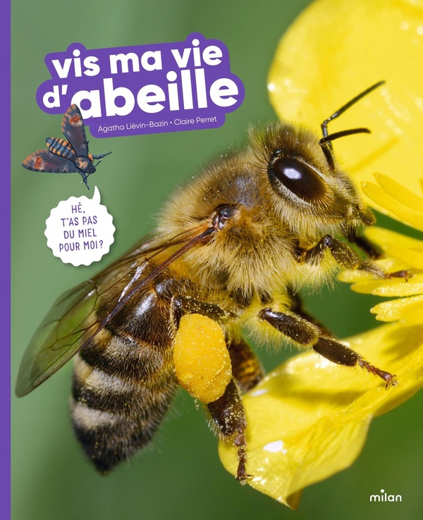VIS MA VIE D'ABEILLE