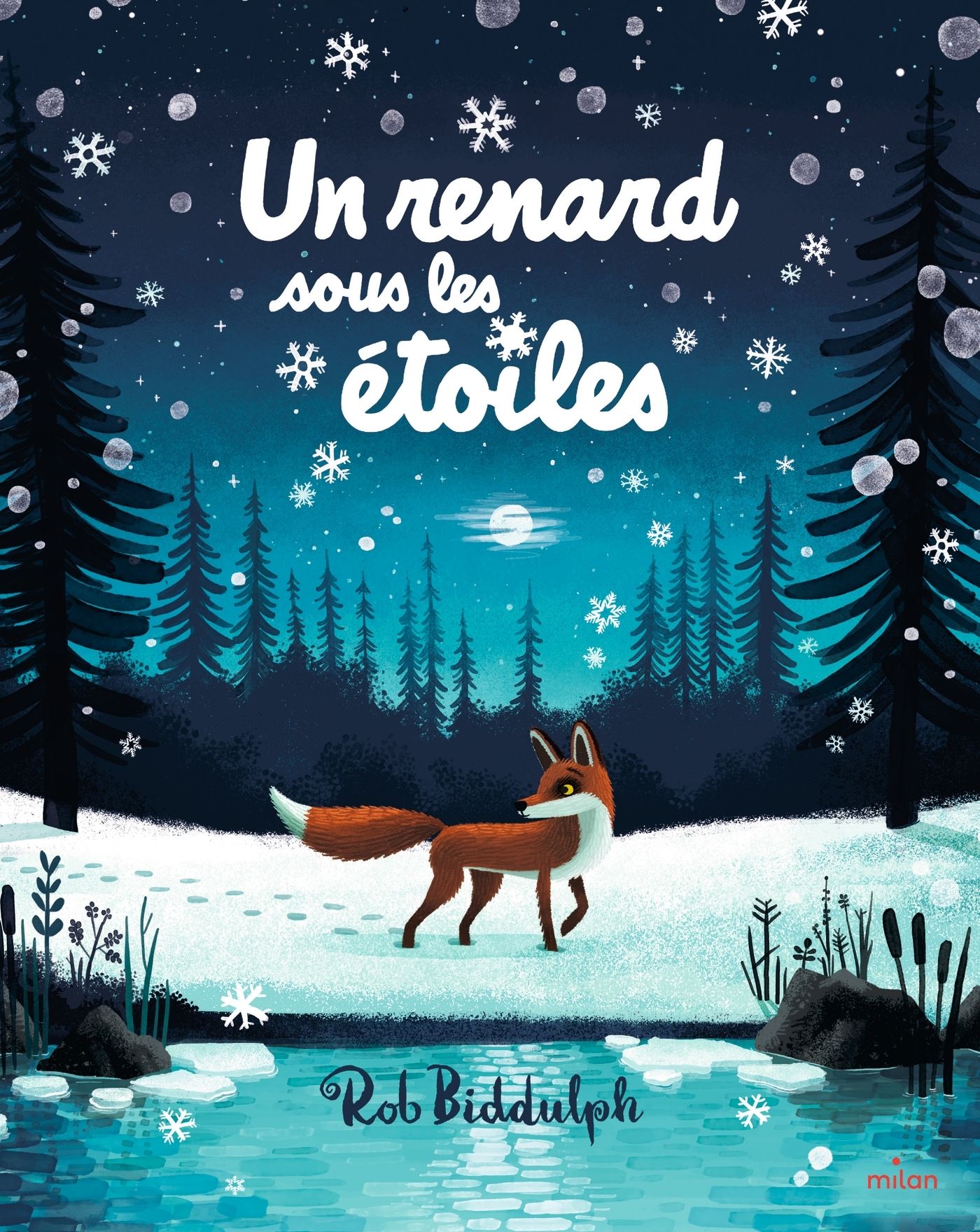 UN RENARD SOUS LES ETOILES