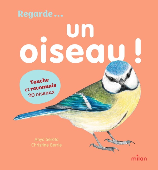 UN OISEAU ! - UN IMAGIER COLORE, EN RELIEF, POUR APPRENDRE A RECONNAITRE LES OISEAUX ET DECOUVRIR LE