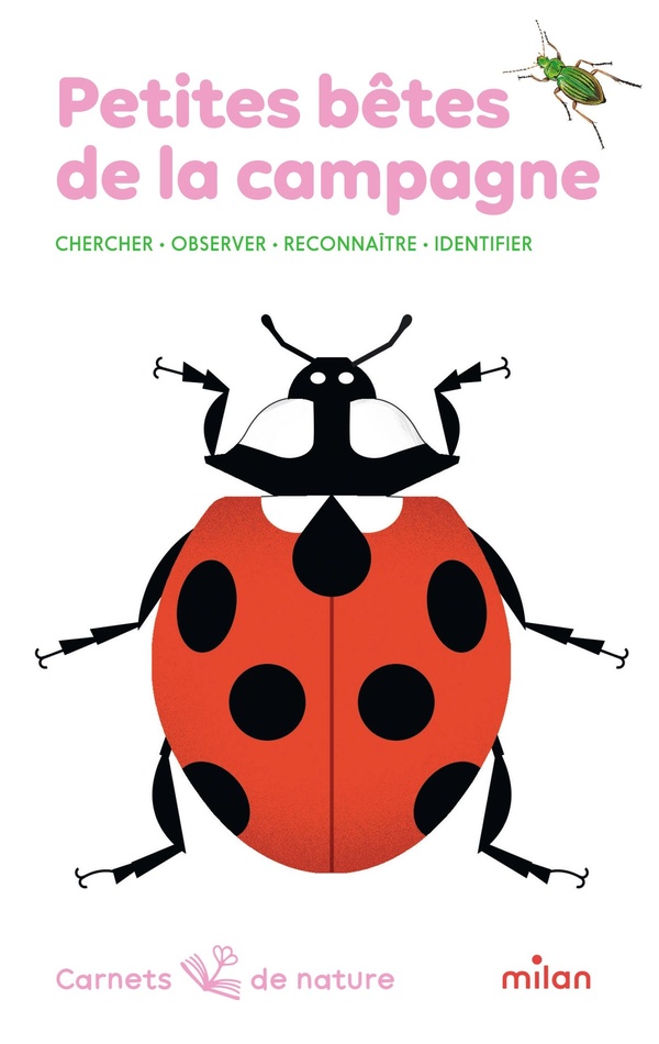 PETITES BETES DE LA CAMPAGNE