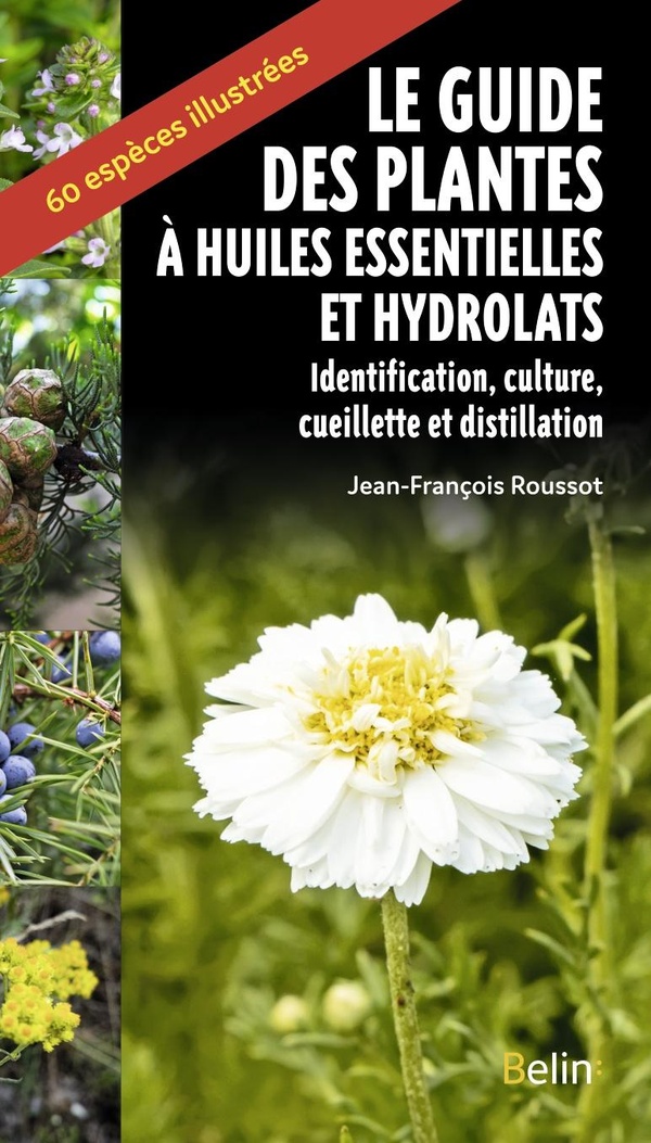 LE GUIDE DES PLANTES A HUILES ESSENTIELLES ET HYDROLATS - IDENTIFICATION, CULTURE, CUEILLETTE ET DIS