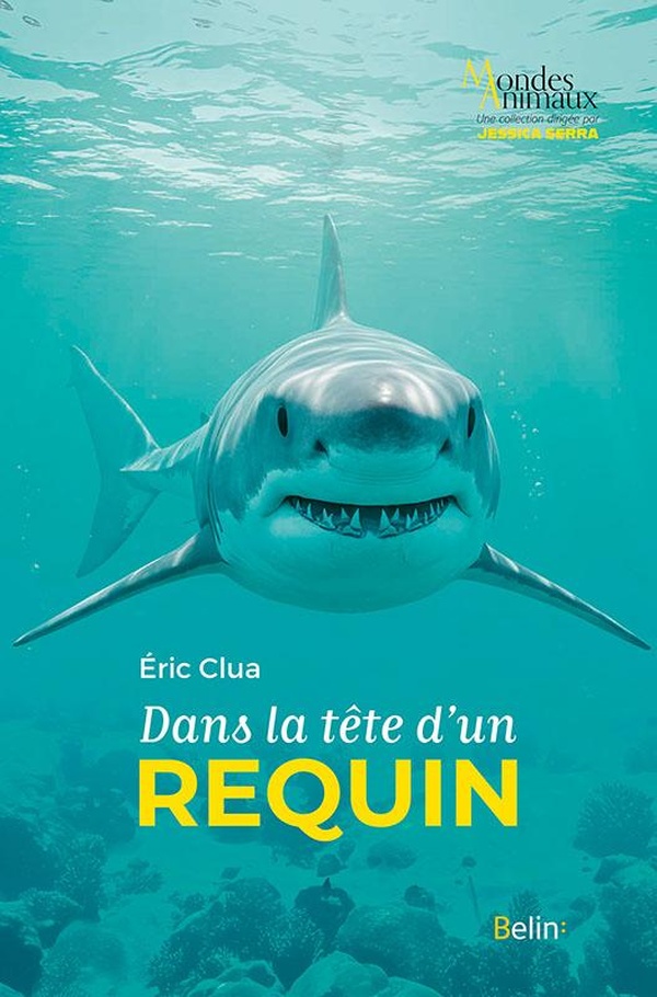 DANS LA TETE D'UN REQUIN
