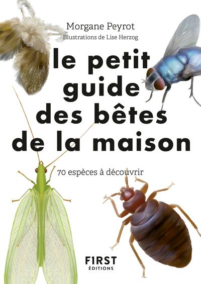 PETIT GUIDE D'OBSERVATION DES PETITES BETES DE LA MAISON